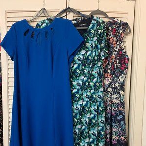 3 Dress Bundle - Petite 16 (Dressbarn brands)